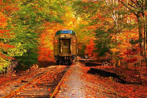 See Minnesota Fall Colors While Riding The Train