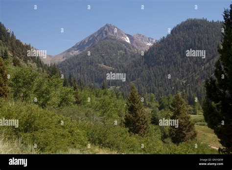 Mineral King Valley Part Of Sequoia National Park California Usa