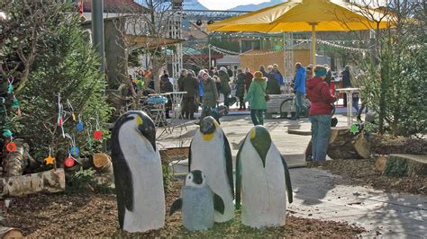 Eisplatz in Penzberg Pinguin Dieb beim Eismärchen