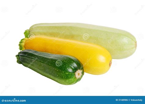 Three Fresh Marrow Squash On W Stock Photo Image Of Freshness