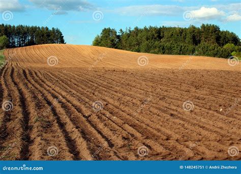 435 Tilled Field Texture Stock Photos Free Royalty Free Stock