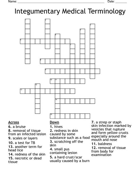 Integumentary Medical Terminology Crossword Wordmint