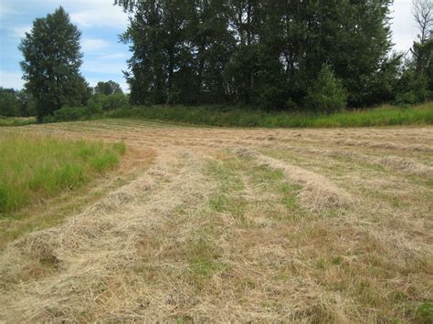 Old fashioned farming | Oakhill Organics