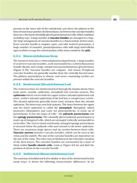 Ncert Book Class 11 Biology Chapter 6 Anatomy Of Flowering Plants 2024