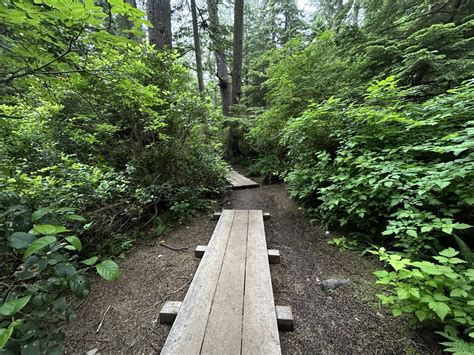 Hiking the Cape Falcon Trail on the Oregon Coast — noahawaii