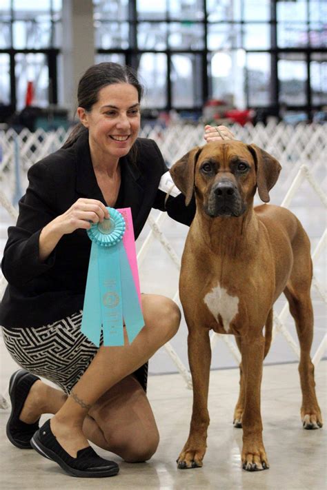 Alexandria Kennel Club Nohs Saturday January Canine Chronicle