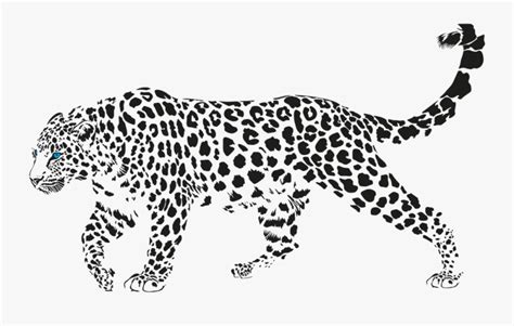 Clouded Leopard Leopard Black And White Vector Free Transparent