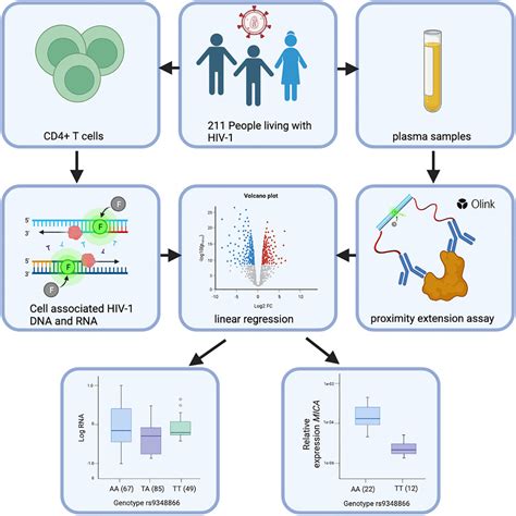 Targeted Plasma Proteomics Identifies Mica And Il1r1 Proteins Associated With Hiv 1 Reservoir