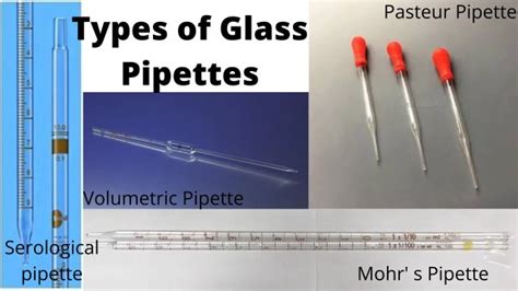 Glass Pipettes: Types, Handling, and Uses • Microbe Online