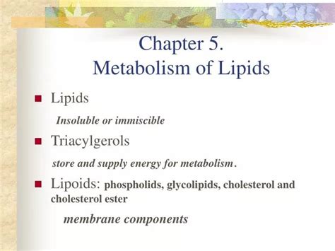 PPT Chapter 5 Metabolism Of Lipids PowerPoint Presentation Free