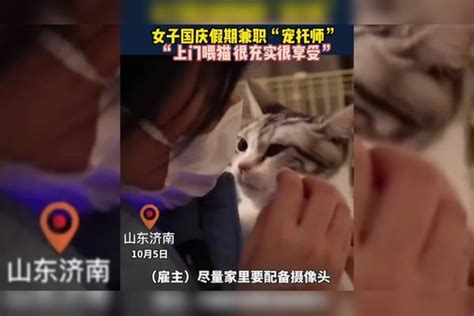 女子国庆假期兼职“宠托师”！“上门喂猫很充实很享受”，这个工作不错！兼职工作国庆