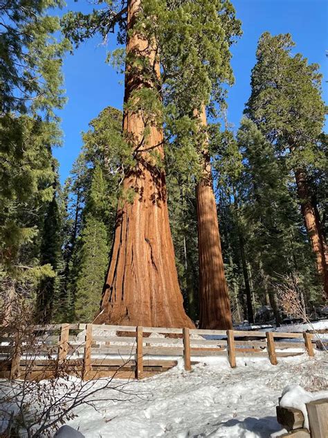 Sequoia National Park - Exploding Travel