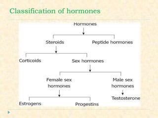 Sex Hormones Pharmacology Pptx