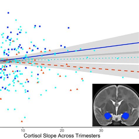 Neonatal amygdala volumes as a function of total maternal cortisol ... 