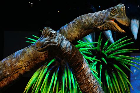 Walking With Dinosaurs Tour - London Wembley Tickets | London Theatre ...