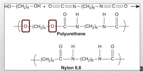 Polymer Quiz Flashcards Quizlet