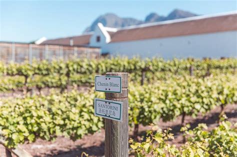 5 Reasons To Visit Babylonstoren This Summer Life Of Mike