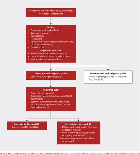 [PDF] Diagnosis and management of patients with polyneuropathy ...