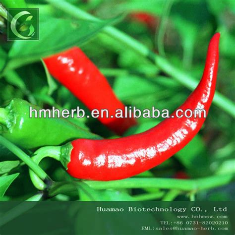 Hot Pepper Extract Black Pepper Extract Powder China Huamao Price Supplier 21food