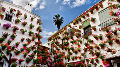 Cordoba Spain Has The Most Unesco World Heritage Sites Architectural