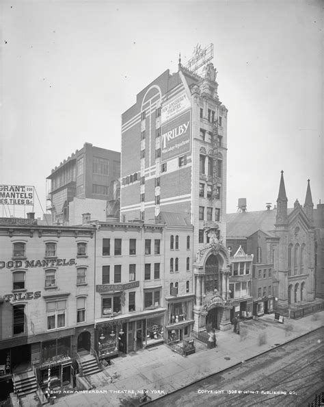 History and Visitor Guide for the New Amsterdam Theatre 1