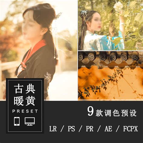 LR预设PS古典古风汉服古装人像FCPX达芬奇手机版APP滤镜PR调色LUT CGgoat