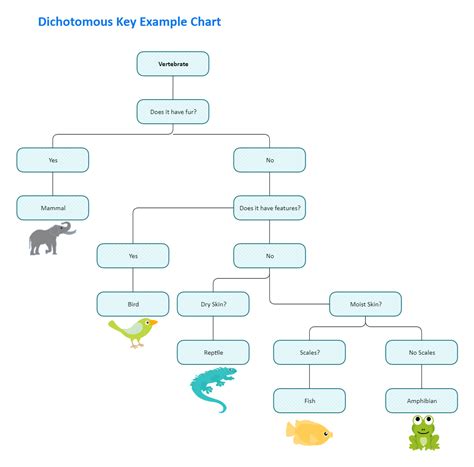 Dichotomous Key Example EdrawMax Templates