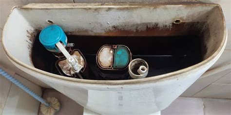 How To Clean Toilet Tank Perfectly An Expert Guide