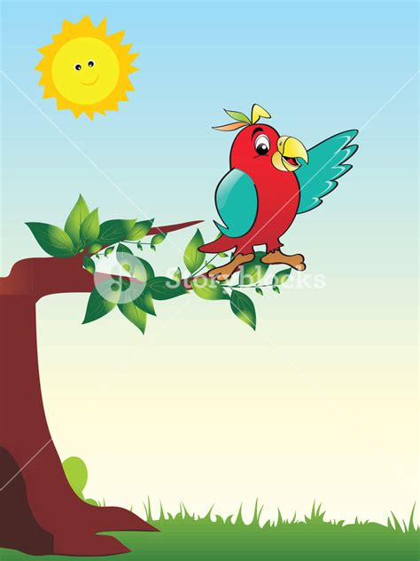 Parrot Sitting On Tree Branch Royalty Free Stock Image Storyblocks