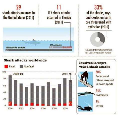 facts-about-sharks-shark-attack-facts1 – "OCEAN TREASURES" Memorial Library