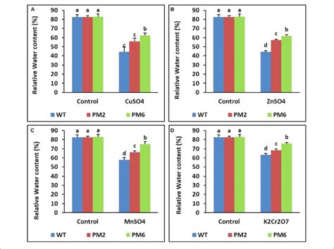 Comparison Of Relative Water Content Rwc In The T 2 Pm6 T 2 Pm2