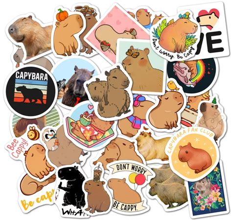 Капибара - Наклейки на телефон - Sticker Universe