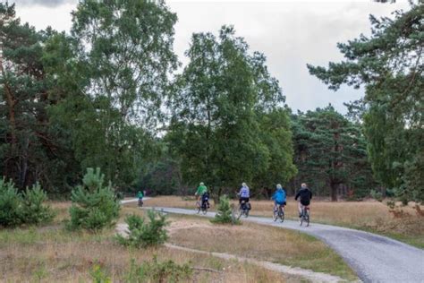 Pedaling the Bike Trails of Hoge Veluwe - Reflections Enroute