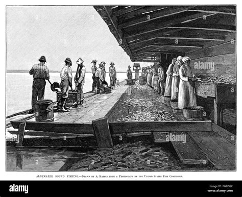 FISHING INDUSTRY, 1889. /n'Albemarle sound fishing.' Engraving, 1889 ...