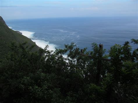 My Ass Hurts Wandering Jue