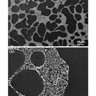 Secondary Electron SE Image In A Of The As Cast Al7 Si Alloy Showing