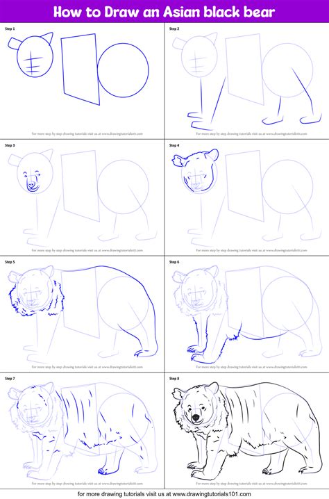 How to Draw an Asian black bear (Bears) Step by Step ...