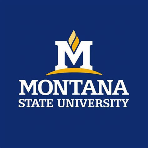 Montana State University GIFs - Find & Share on GIPHY