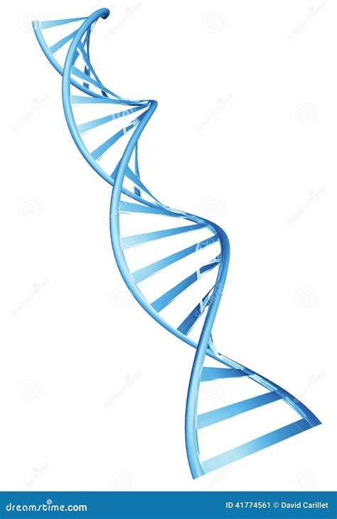 D Dubbele Schroef Spiraalvormige Structuur Van Een Menselijk Dna Koord