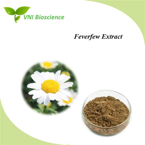 Kosher And Halal Certified 100 Natural Feverfew Extract China