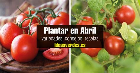 Verduras Para Plantar En Abril Hemisferio Norte Ideas Verdes