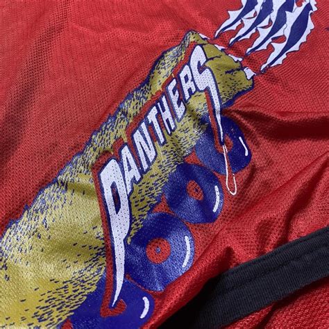 Vintage Florida Panthers Jersey Street Hockey Style Depop