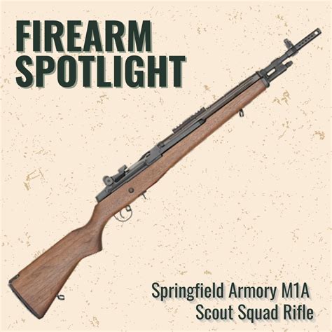 Firearm Spotlight The Springfield Armory M1a A Classic Rifle For The Modern Shooter