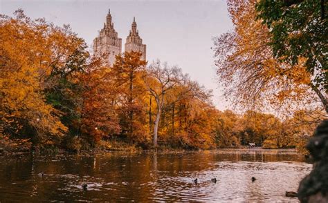 How the Unemployment Tsunami Swept America? - Budgy App