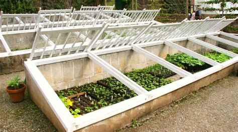 9 Tips for Growing Vegetables in a Cold Frame