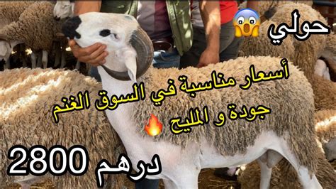 مباشرة اليوم من سوق مديونة الداربيضاء مع ثمن حولي عيد الاضحى 2023 Youtube