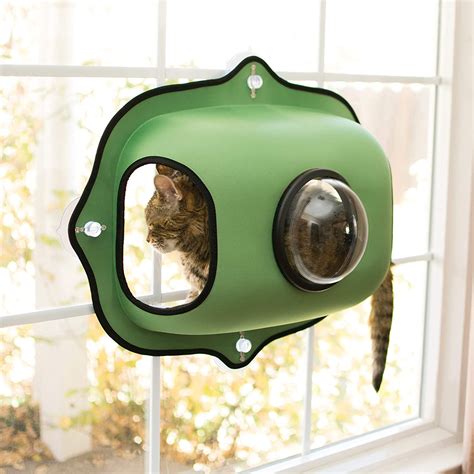 Las Mejores Hamacas De Ventana Para Gatos