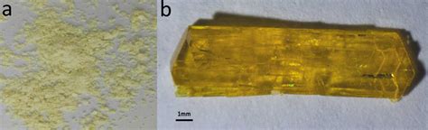 IUCr A Cocrystal Of L Ascorbic Acid With Picolinic Acid The Role Of