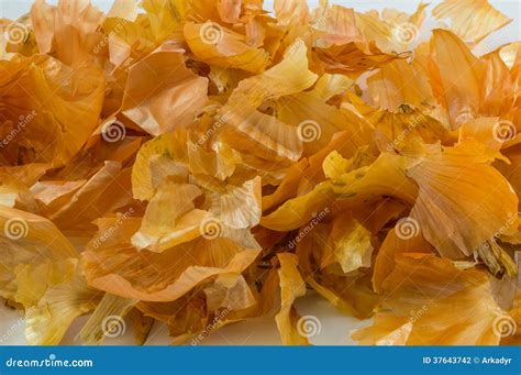 Onion peel stock photo. Image of color, onions, hulls - 37643742