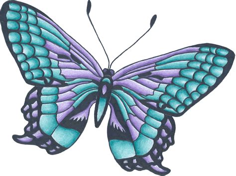 Butterflies On Flowers Drawings Clipart Best